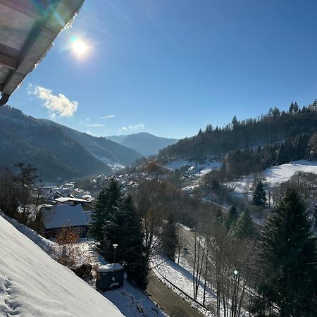 Bollenlodge - Ferienwohnung Mit Ausblick Und Top Lage Todtnau Bagian luar foto