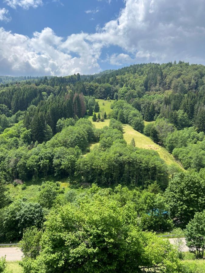 Bollenlodge - Ferienwohnung Mit Ausblick Und Top Lage Todtnau Bagian luar foto