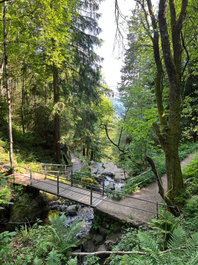 Bollenlodge - Ferienwohnung Mit Ausblick Und Top Lage Todtnau Bagian luar foto