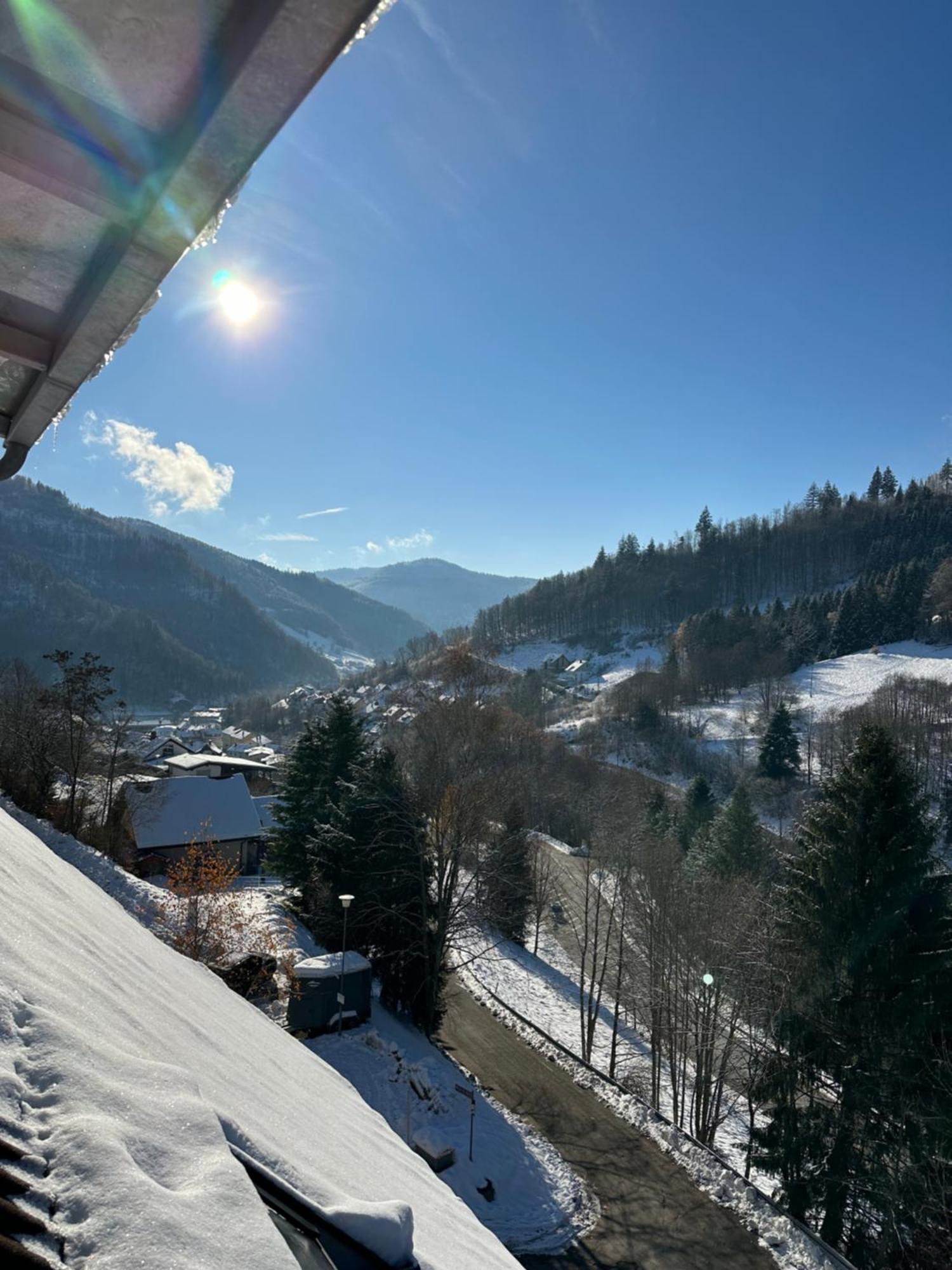 Bollenlodge - Ferienwohnung Mit Ausblick Und Top Lage Todtnau Bagian luar foto